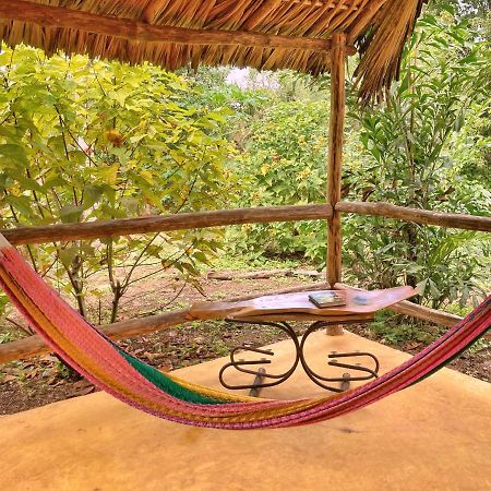 Encantadora Villa Maya Tradicional En Rancho Agroecologico Tzucaceb 외부 사진