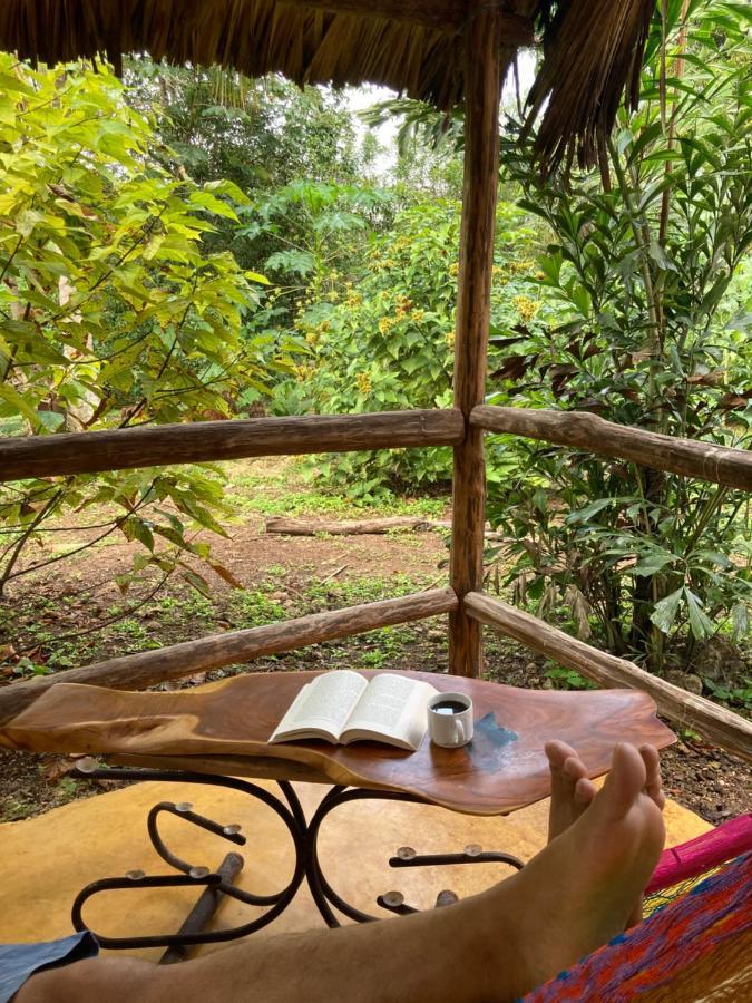 Encantadora Villa Maya Tradicional En Rancho Agroecologico Tzucaceb 외부 사진