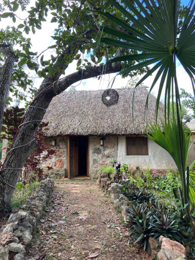 Encantadora Villa Maya Tradicional En Rancho Agroecologico Tzucaceb 외부 사진