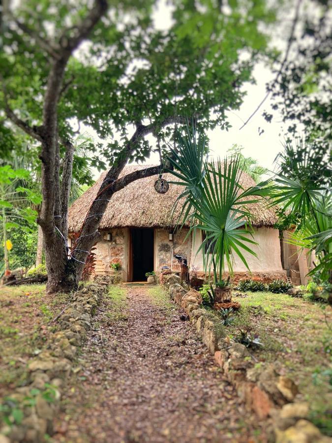 Encantadora Villa Maya Tradicional En Rancho Agroecologico Tzucaceb 외부 사진