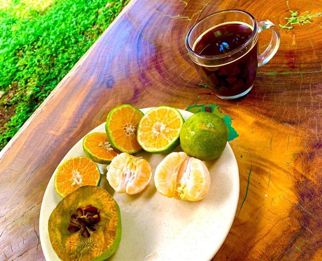 Encantadora Villa Maya Tradicional En Rancho Agroecologico Tzucaceb 외부 사진