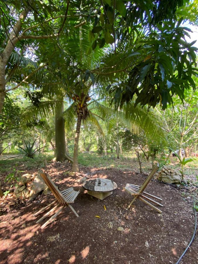 Encantadora Villa Maya Tradicional En Rancho Agroecologico Tzucaceb 외부 사진