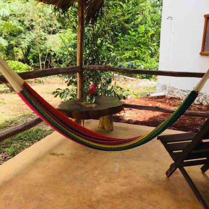 Encantadora Villa Maya Tradicional En Rancho Agroecologico Tzucaceb 외부 사진