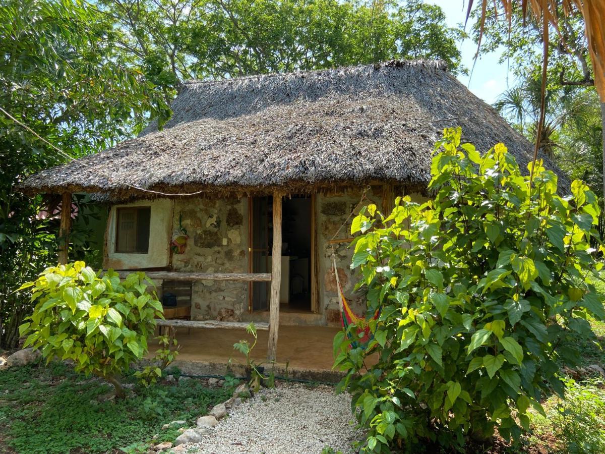 Encantadora Villa Maya Tradicional En Rancho Agroecologico Tzucaceb 외부 사진