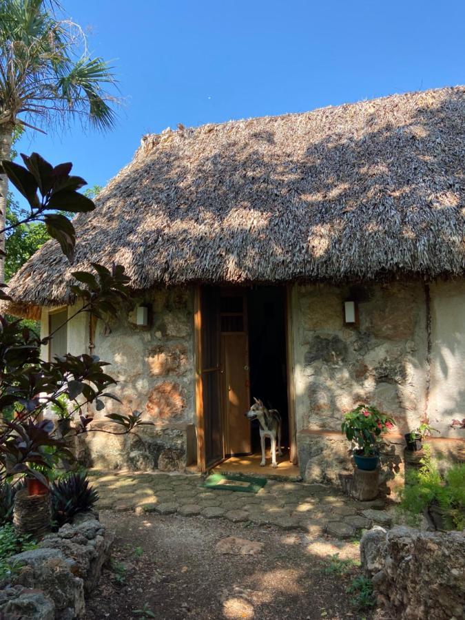 Encantadora Villa Maya Tradicional En Rancho Agroecologico Tzucaceb 외부 사진