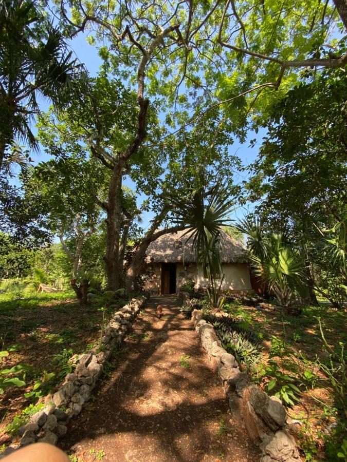 Encantadora Villa Maya Tradicional En Rancho Agroecologico Tzucaceb 외부 사진