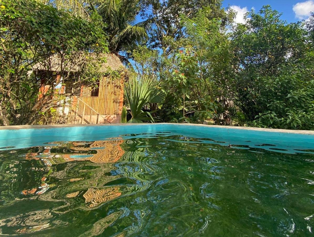 Encantadora Villa Maya Tradicional En Rancho Agroecologico Tzucaceb 외부 사진