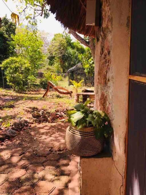 Encantadora Villa Maya Tradicional En Rancho Agroecologico Tzucaceb 외부 사진