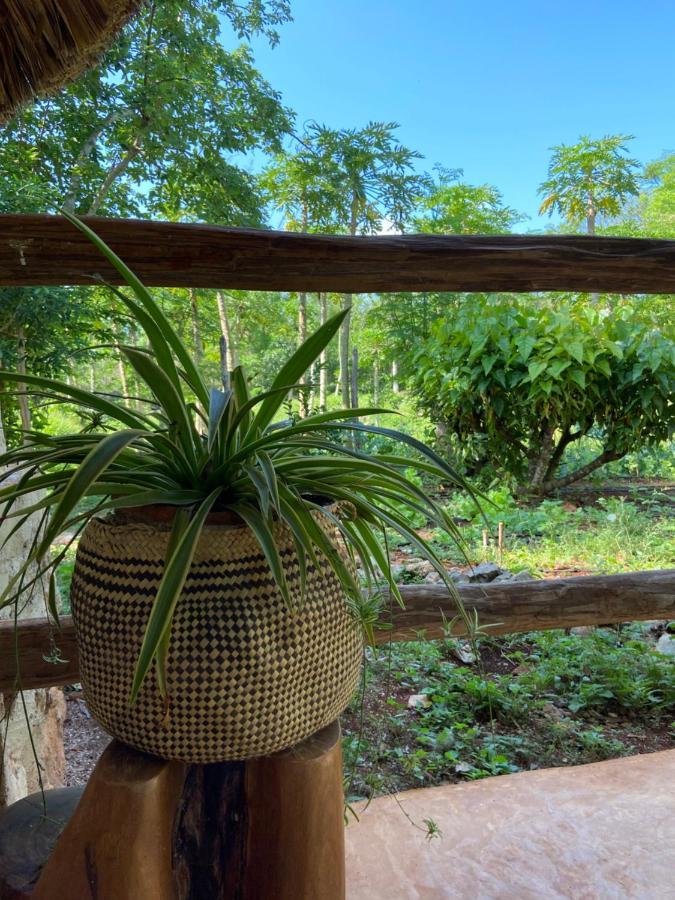 Encantadora Villa Maya Tradicional En Rancho Agroecologico Tzucaceb 외부 사진