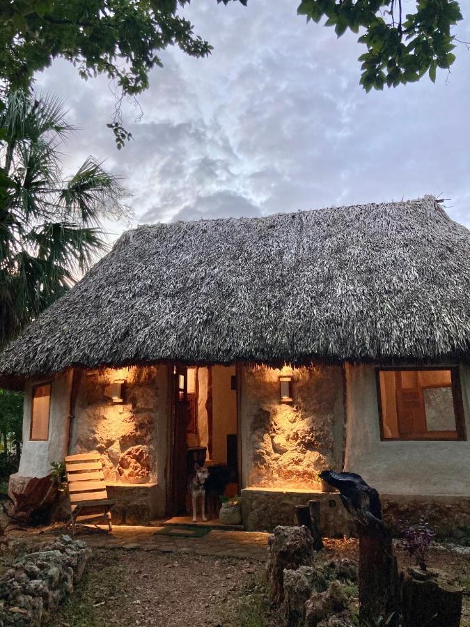 Encantadora Villa Maya Tradicional En Rancho Agroecologico Tzucaceb 외부 사진