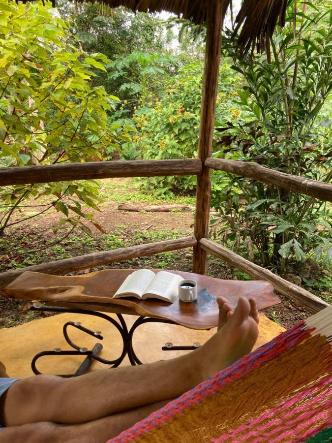 Encantadora Villa Maya Tradicional En Rancho Agroecologico Tzucaceb 외부 사진