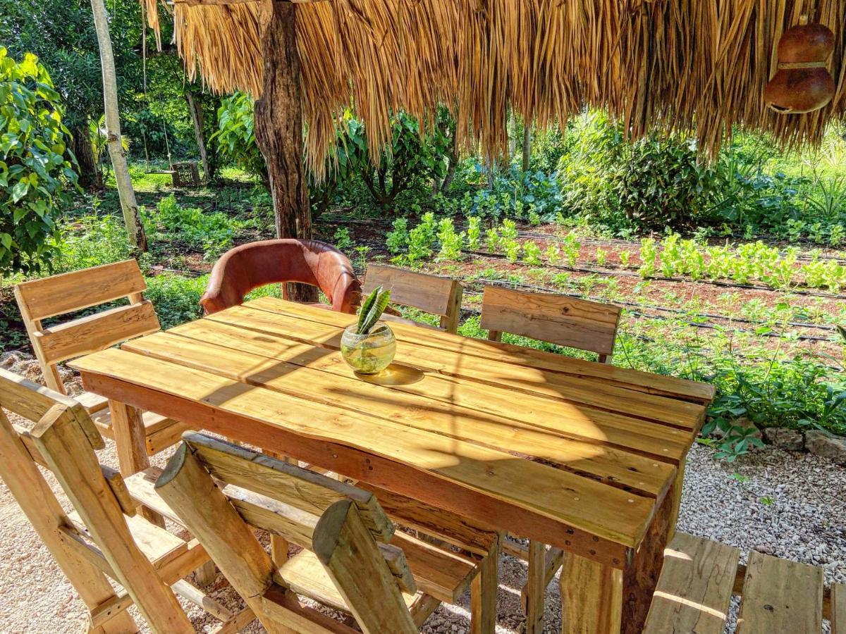 Encantadora Villa Maya Tradicional En Rancho Agroecologico Tzucaceb 외부 사진