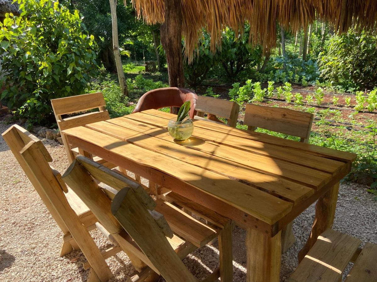 Encantadora Villa Maya Tradicional En Rancho Agroecologico Tzucaceb 외부 사진