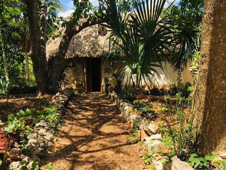 Encantadora Villa Maya Tradicional En Rancho Agroecologico Tzucaceb 외부 사진