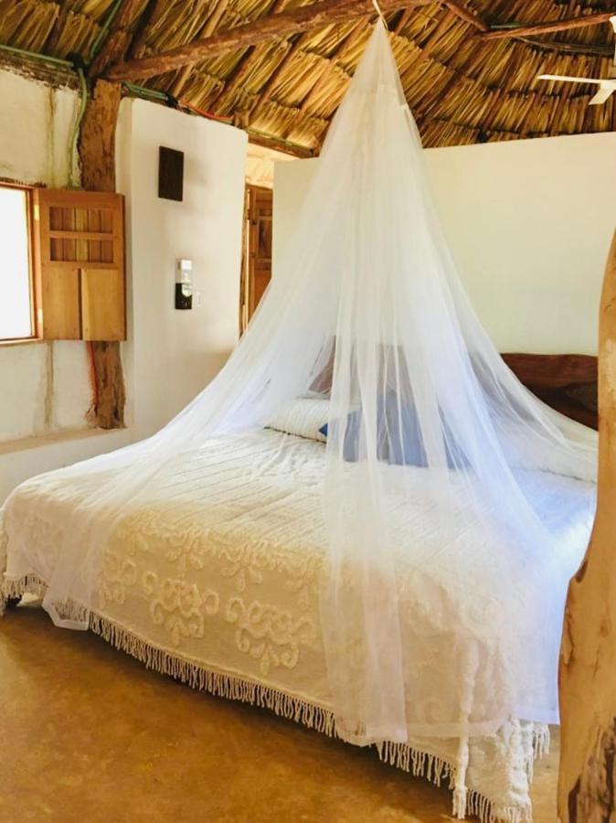 Encantadora Villa Maya Tradicional En Rancho Agroecologico Tzucaceb 외부 사진