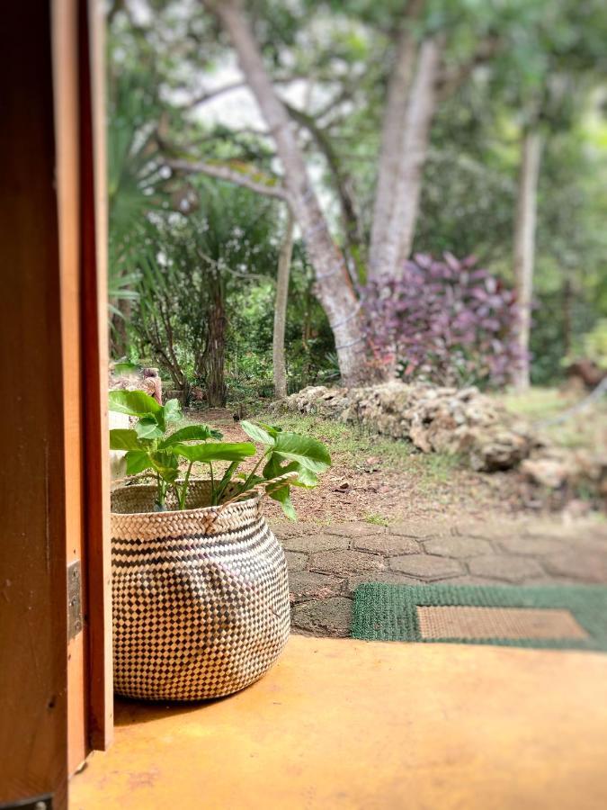Encantadora Villa Maya Tradicional En Rancho Agroecologico Tzucaceb 외부 사진