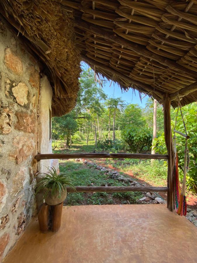 Encantadora Villa Maya Tradicional En Rancho Agroecologico Tzucaceb 외부 사진